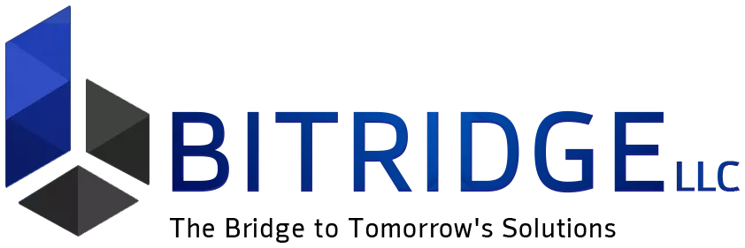 BITRIDGE LLC